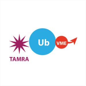TAMRA-Ub-VME