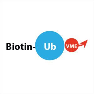 Biotin-Ahx-Ub-VME