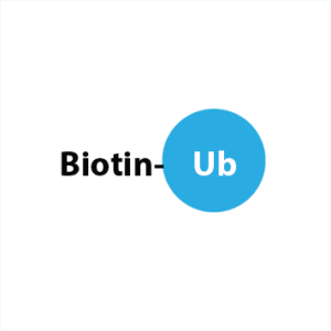 Biotin-Ahx-Ub