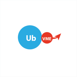 Ub-VME