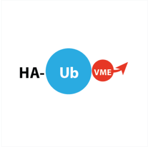 HA-Ahx-Ahx-Ub-VME