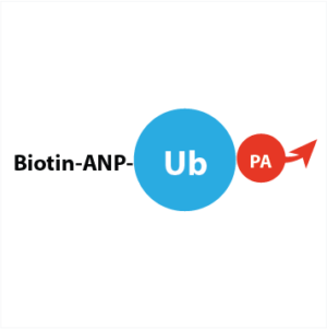 Biotin-ANP-Ub-PA