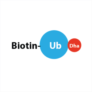 Biotin-Ahx-Ub-Dha