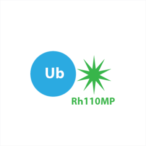 Ub-Rh110MP