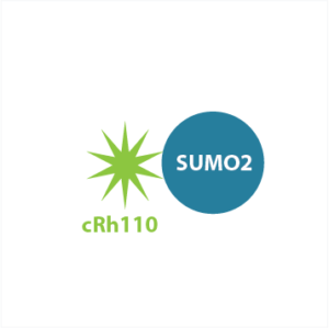 5-carboxyRh110-SUMO2