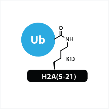 UbiQ-172