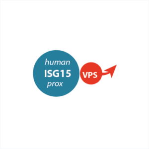 Ac-hISG15prox-VPS